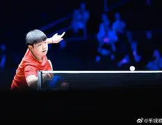  wtt为什么叫大满贯 